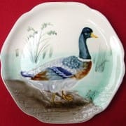 Duck plate