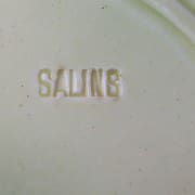 Salins mark