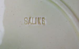 Salins mark