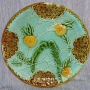 Parakeet plate