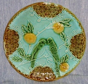 Parakeet plate